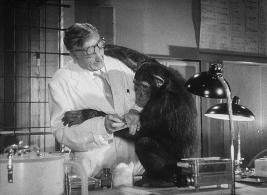 Hans Albers in "Vom Teufel gejagt" (1950) "Vom Teufel gejagt"