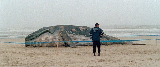 "1001 Nacht, Teil 1: Der Ruhelose" (2014/15) "1001 Nacht, Teil 1: Der Ruhelose", Quelle: Real Fiction Filmverleih