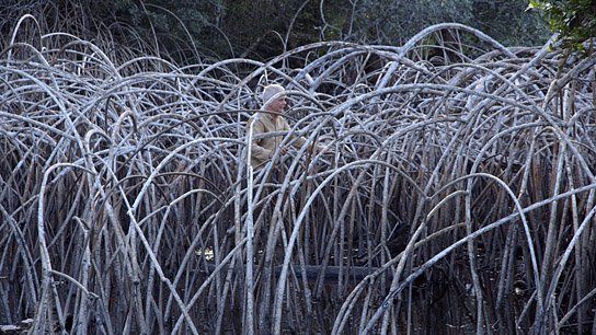 Andy Goldsworthy in "Leaning into the Wind - Andy Goldsworthy" (2017) "Leaning into the Wind ", Quelle: Piffl Medien, DIF, © Piffl Medien
