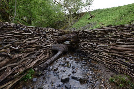 "Leaning into the Wind - Andy Goldsworthy" (2017) "Leaning into the Wind ", Quelle: Piffl Medien, DIF, © Piffl Medien