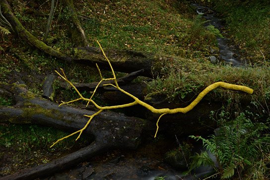 "Leaning into the Wind - Andy Goldsworthy" (2017) "Leaning into the Wind ", Quelle: Piffl Medien, DIF, © Piffl Medien