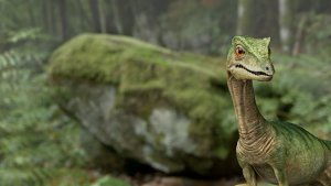 "Planet Deutschland - 300 Millionen Jahre" (2012-14) Planet Deutschland - 300 Millionen Jahre, © 2014 polyband Medien GmbH, Gruppe 5