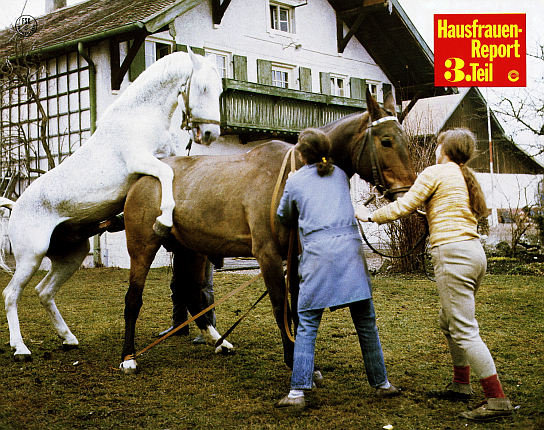 Hausfrauen-Report 3. Teil