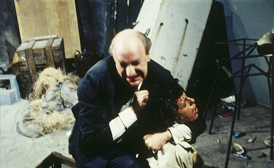 Die jungen Tiger von Hongkong