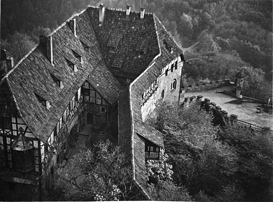 Der gehorsame Rebell