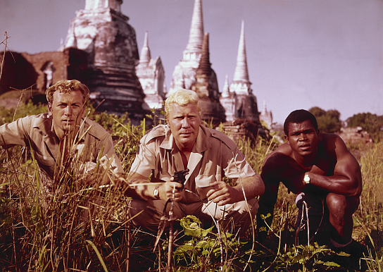 Der Fluch des schwarzen Rubin