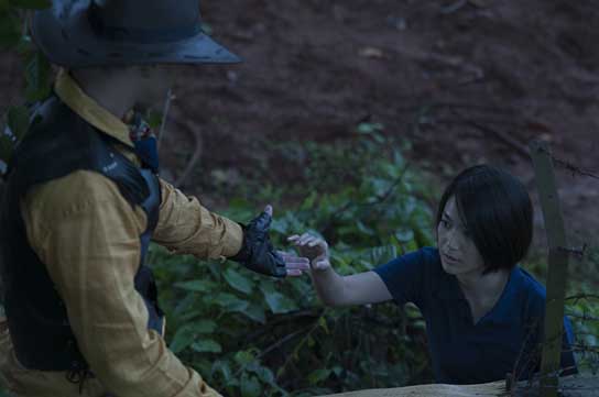 Die Nacht der Giraffe