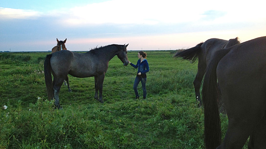 Von Mädchen und Pferden, Quelle: Hyena Films