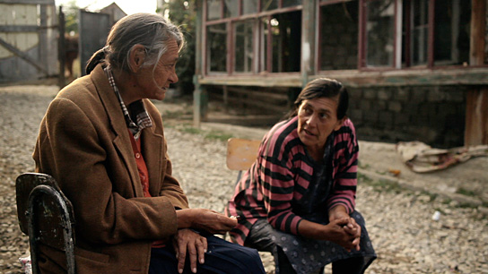 The Forest is Like the Mountains (2013/14) The Forest is Like the Mountains