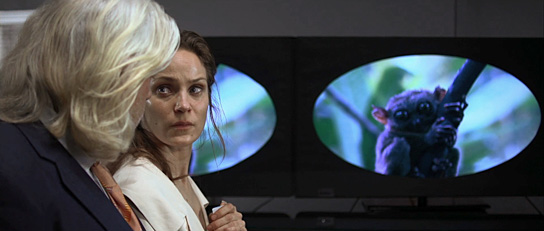 Die innere Zone, Quelle: Real Fiction Filmverleih, DIF