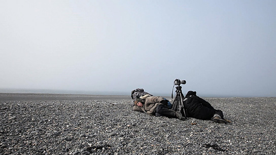 Sebastião Salgado am Polarkreis in "Das Salz der Erde" (2014) Das Salz der Erde, © Juliano Ribeiro Salgado, NFP*