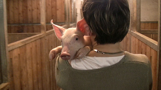 "Im Namen der Tiere", © W-film, Thomas Winger (United Creatures)