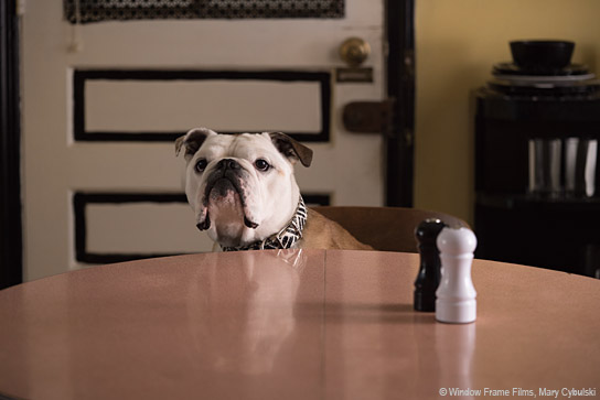 "Paterson", © Window Frame Films, Mary Cybulski