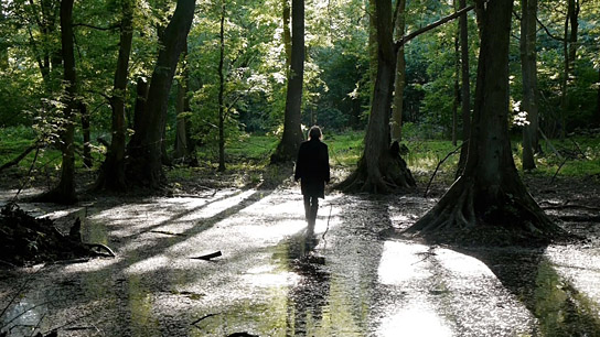 Klaus Weingarten in "Morgenröte im Aufgang - Hommage à Jacob Böhme" (2015) "Morgenröte im Aufgang - Hommage à Jacob Böhme"