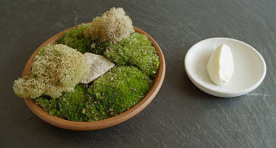 "Noma", © Pierre Deschamps