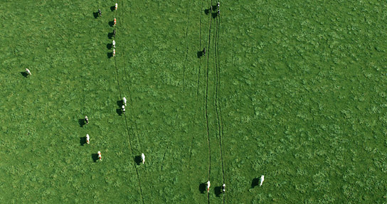 "Das System Milch", Quelle: Tiberius Film, DIF, © EIKON Media und MIRAMONTE FILM