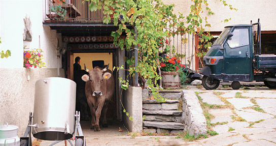 "Das System Milch", Quelle: Tiberius Film, DIF, © EIKON Media und MIRAMONTE FILM