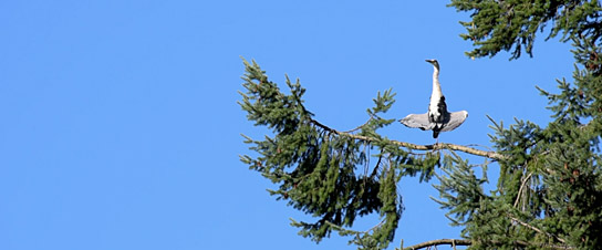 "Unsere Alb", Quelle: Marco Ruppert, © Marco Ruppert Filmproduktion