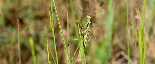 "Unsere Alb", Quelle: Marco Ruppert, © Marco Ruppert Filmproduktion