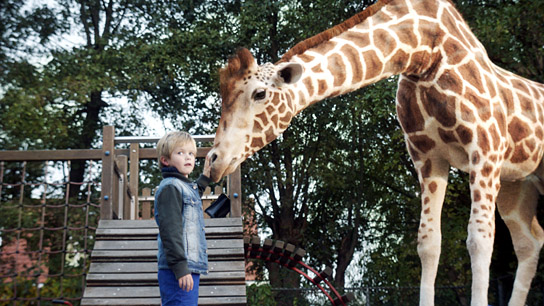 "Mein Freund, die Giraffe", Quelle: Little Dream Entertainment, DIF