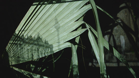 "Spell Reel", Quelle: Arsenal -  Institut für Film und Videokunst e.V., DIF, © Spectre Productions