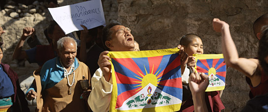 "Pawo", Quelle: Busch Media Group, DIF, © Busch Media Group