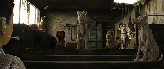 "Isle of Dogs", Quelle: Twentieth Century Fox of Germany, DIF, © 2018 Twentieth Century Fox