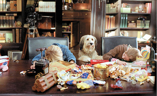 "Sergeant Pepper", Quelle: Constantin Film, DIF, © Constantin Film, MTM Medien & Television München, Bavaria Film