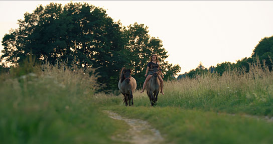 "Magie der Wildpferde", Quelle: Koryphäen Film, DIF, © catamaranfilms