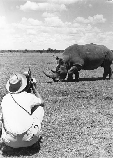 "Kein Platz für wilde Tiere" (1956); Quelle: DFF
