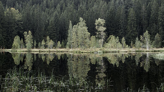 "Das innere Leuchten" (2019); Quelle: AMA FILM, DFF, © AMA FILM GmbH