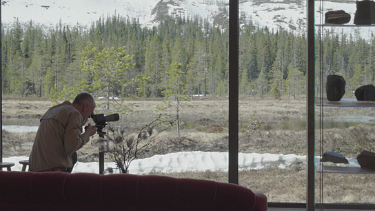 Peter Wohlleben in "Das geheime Leben der Bäume" (2019) Peter Wohlleben in "Das geheime Leben der Bäume" (2019); Quelle: Constantin Film Verleih, DFF, © 2019 Constantin Film Verleih GmbH, Daniel Schönauer