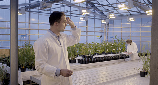 "Alkohol - Der globale Rausch" (2019) "Alkohol - Der globale Rausch" (2019); Quelle: Tiberius Film, DFF, © 2020 Tiberius Film, EIKON Filmproduktion, Miramonte Film
