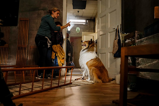 Dreharbeiten zu "Lassie - Eine abenteuerliche Reise" (2020); Quelle: Warner Bros. Pictures Germany, DFF, © 2019 Tom Trambow, Warner Bros. Ent.