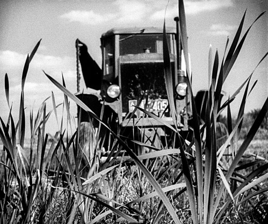 "Natur in Gefahr!" (1952); Quelle: DFF, Marian Stefanowski