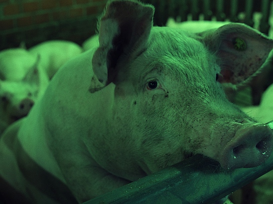 "Regeln am Band, bei hoher Geschwindigkeit" (2019); Quelle: JIP Film und Verleih, DFF, © JIP Film