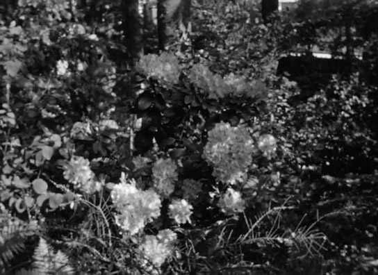 Screenshot aus "Privatfilm Familie Richter: Rolle 6" (1936); Quelle: SLUB Dresden, © SLUB Dresden, Filmverband Sachsen (Dresden), Hirsch Film (Dresden)