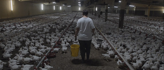 "Land" (2021); Quelle: Real Fiction Filmverleih, DFF