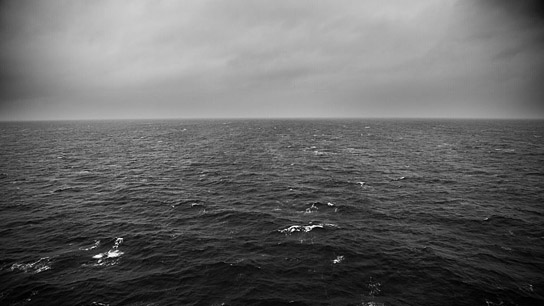 "Das perfekte Schwarz" (2019); Quelle: Film Kino Text, DFF