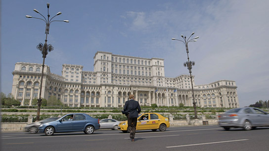 "Wood - Der geraubte Wald" (2020); Quelle: Filmtank Audience, DFF