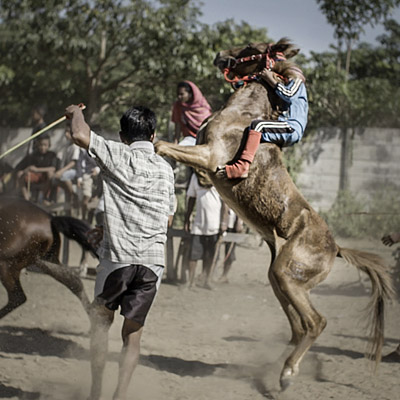 "Riders of Destiny" (2019); Quelle: Real Fiction Filmverleih, DFF, © Seventyonefilms