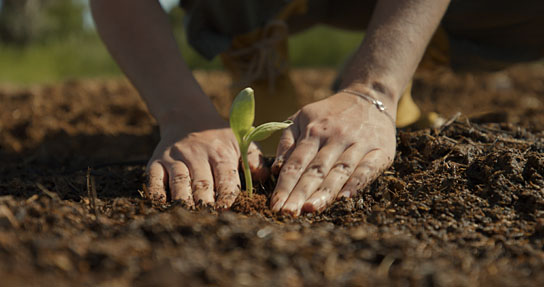 "Step by Step" (2022)