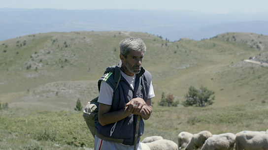 "Bürgermeister, Schäfer, Witwe, Drache" (2021)