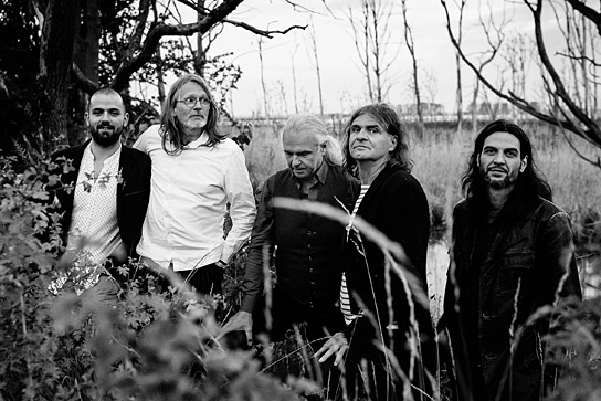 Hans-Eckardt Wenzel (2.v.r.) und Band in "Wenzel - Glaubt nie, was ich singe" (2022)