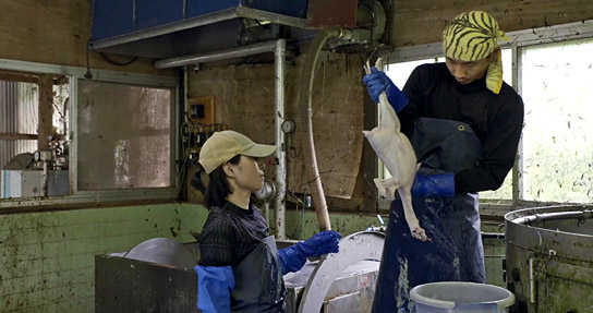 "Miyama, Kyoto Prefecture" (2022)