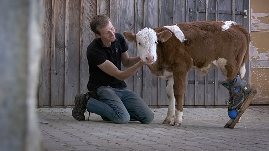 "Menschen und Tiere" (2023)