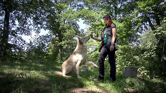 "Menschen und Tiere" (2023)