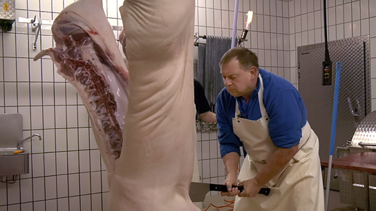 "Menschen und Tiere" (2023)