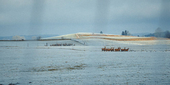 "Exile never ends" (2023)