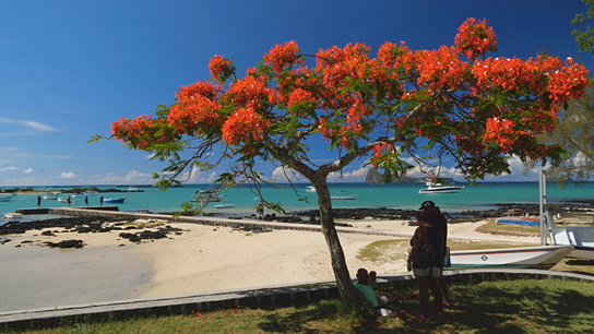 "Mauritius ‐ Die Fernwehmacher unterwegs im Tropenparadies" (2024) "Mauritius ‐ Die Fernwehmacher unterwegs im Tropenparadies" (2024)
